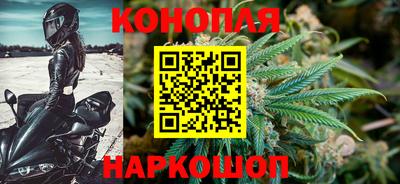 сатива Ирбит