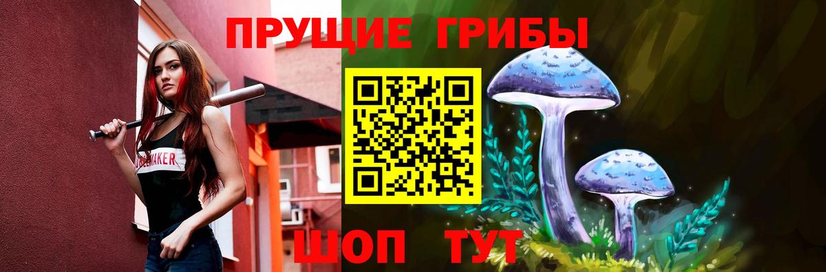 Псилоцибиновые грибы GOLDEN TEACHER Красный Сулин